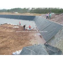 1.5mm 2mm Liso Fish Pond Lagoa Liner HDPE Geomembrana Preço